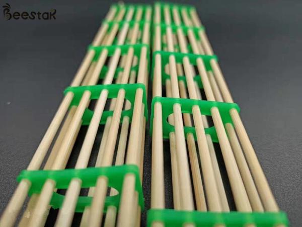 Rainha Eco-amigável do equipamento da apicultura que eleva a gaiola da abelha de rainha de Baboo da ferramenta para o cultivo da abelha