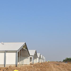 Turnkey Solution