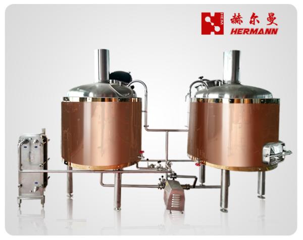 Simple Maintenance 600L Two Vessel Brewing System Convenient Operation