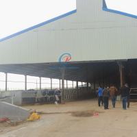 Natural Ventilation Steel Structure Cow Shed Comfortable Steel Structure Livestock Shed