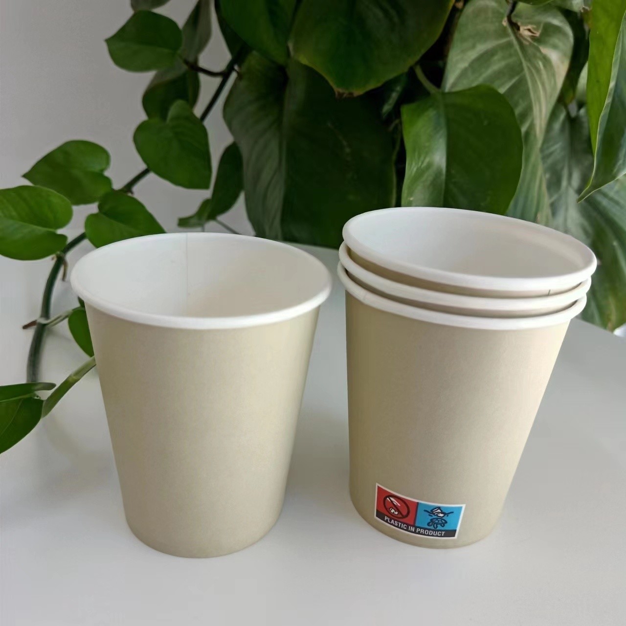 OEM Single Wall Paper Cup Custom Printed Logo Biodegradable 18PE 150-300GSM Disposable