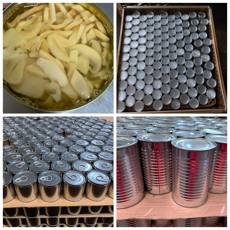 Отрезанный законсервированный гриб Champignon