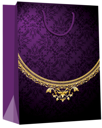 Jewelry Carry Paper Gift Bags for Jewelry Shops