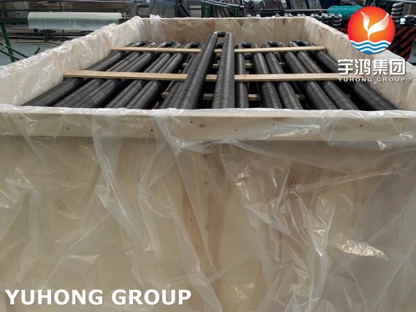 ASME SA106 GR.B Carbon Steel High Frequency Welded Extended Surface Tubes for Economizer