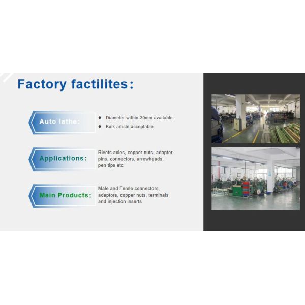 Vertical Pressure Chamber Die Casting Parts for High Precision and Engine Assembly