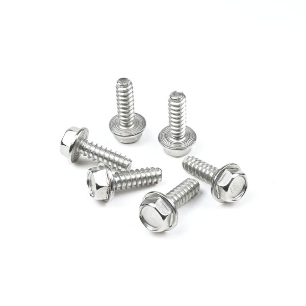 Stainless Steel 304 Screws 14 *3/4