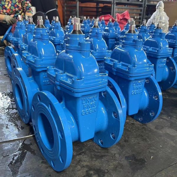 Y type structure gate valve for soft seal and sluice gate performance