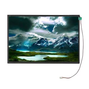 Panneau LCD IPS 12,1 pouces 1280x800 Large température 1000 nits Module LCD TFT LVDS