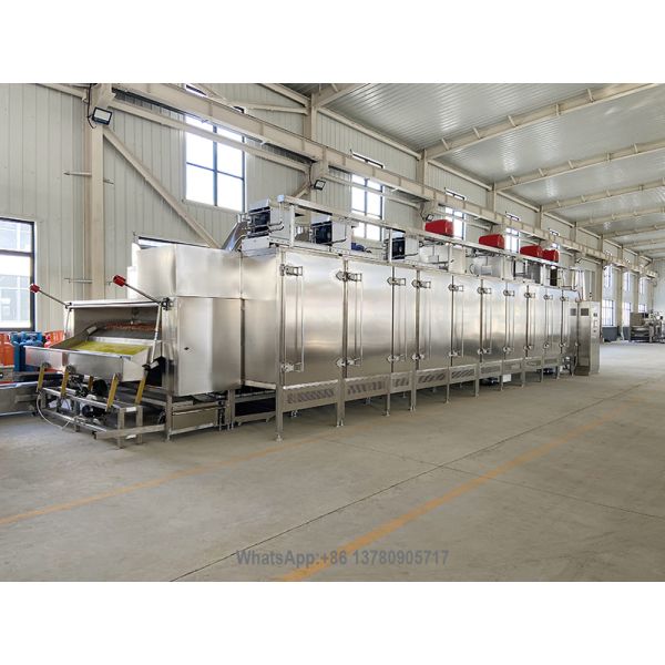Commercial Peanut/Cashew Nut/Hazelnut Roasting Machine with Adjustable Conveyor Speed and PLC Control Panel