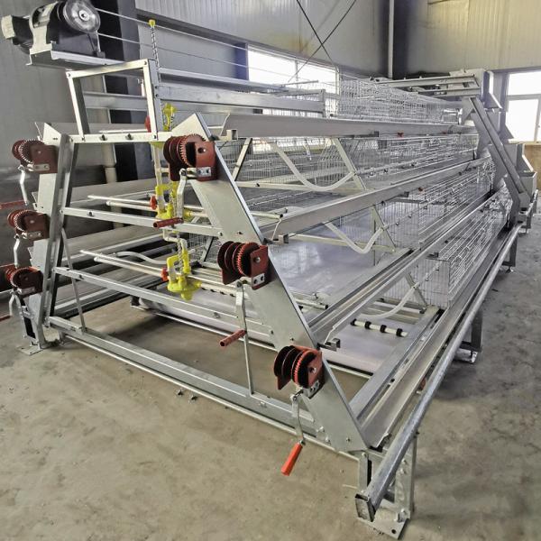 Aves domésticas Chick Rearing Cage, bateria gaiola da galinha de 4/3 séries