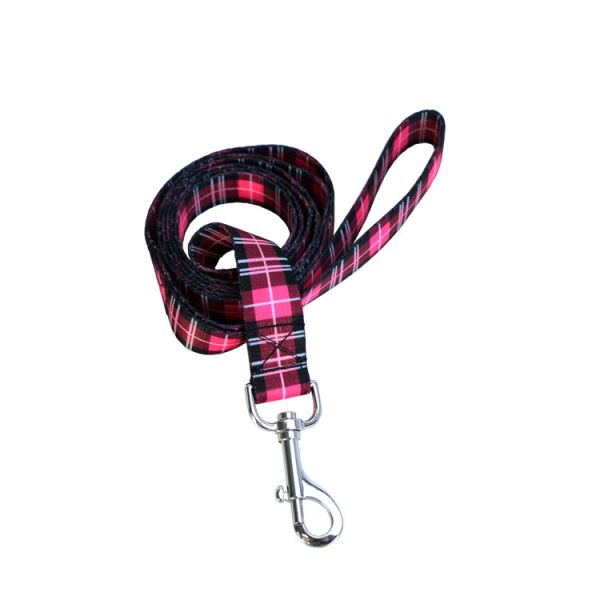 Bright Dog Lead And Collar Set Adjustable 30-48cm Buckledown Dog Collars