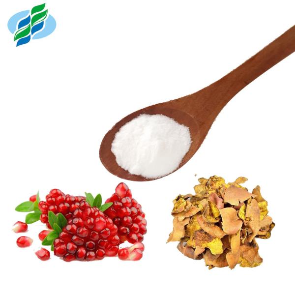 Powdered Pomegranate Extract Ellagic Acid 98% 99% Natural Cosmetics Raw Materials