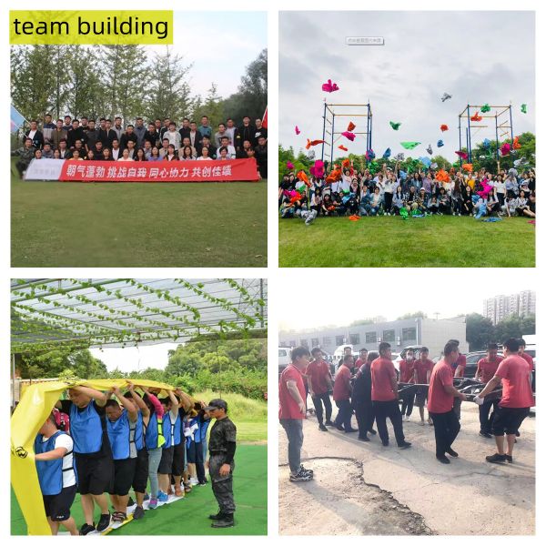 LED Headlamp Assembly for BYD E5 Tang Song Han and Qin S6 F3 G6 G3 I3 EV OE No. dfagfa