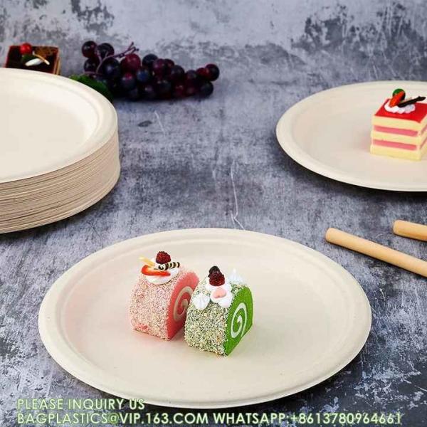 Eco-Friendly Customized Size Grease Oil Water Proof Microwavable Plate Disposable Compostable Sugarcane Bagasse