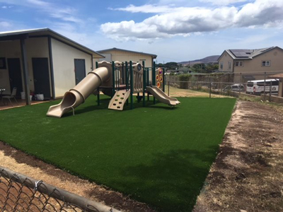 Настраиваемая искусственная трава 12000 Dtex Зелёный футбольный трава для собак и других домашних животных