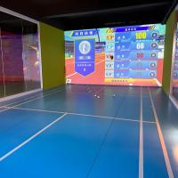 Northern Lights Esportes AR Profissionais Indoor Badminton Jogos de Bola Indoor