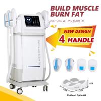 4 Handles Sculpture Fat Burning Machine 300W - 5000W Neo Slim Machine
