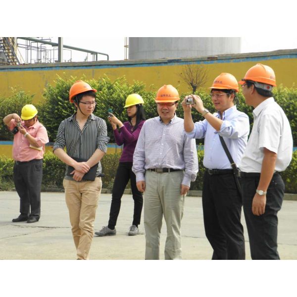 Ferric Sulfate Powder 21% Purity for Wastewater Treatment