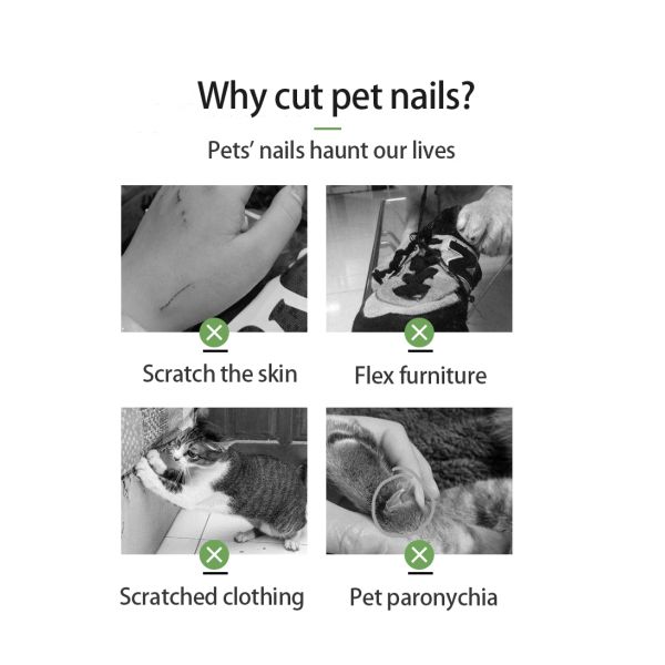 Herramientas sostenibles para cortar uñas para perros Cortadoras de uñas para perros para mascotas verdes