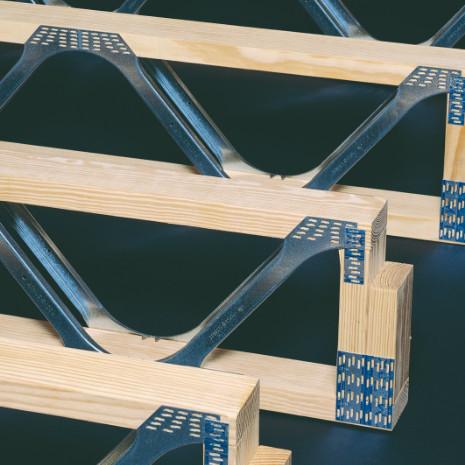 Carbon Steel Trussed Rafter Roofs and Easi-Joist Metal Web Floors A Winning Combination