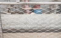De aço inoxidável - X moldado tende a rede de arame da corda de Mesh Fence 2.0mm do cabo