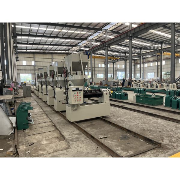 8-10 Tpd Oil Mill Seed Oil Press Machine Cold Press Oil Extractor With Control Panel