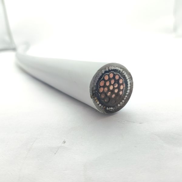 Multi Cores Instrumentation Cable Fire Resistant Cable CU/MGT/XLPE/OS/FR/LSZH/GSWA/LSZH 20х1