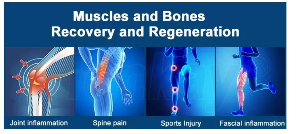 Облегчения боли колена плеча ST цены по прейскуранту завода-изготовителя портативная машинка машины magnetotherapy терапией самого нового премьер-министра physio