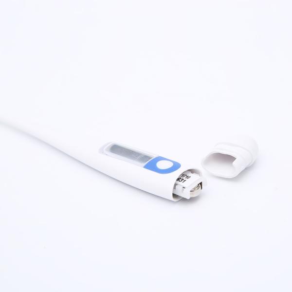 Medical Clinical Fever Alarm Function Electronic Thermometer