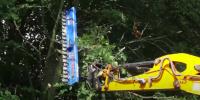 Le coupeur hydraulique efficace de haie, arbre mécanique Pruner 2.5m a coupé la longueur totale