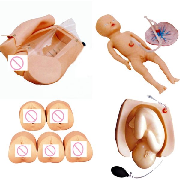 Comprehensive Childbirth Skills Training Mannequin for School of Nursing and Midwifery