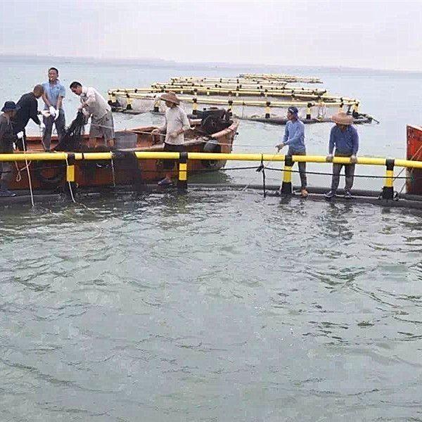 Carp or Tilapia Aquaculture Fish Cages Supported by Floating Pipe 315mm and with Support