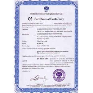 Golden Future Enterprise HK Ltd Certifications
