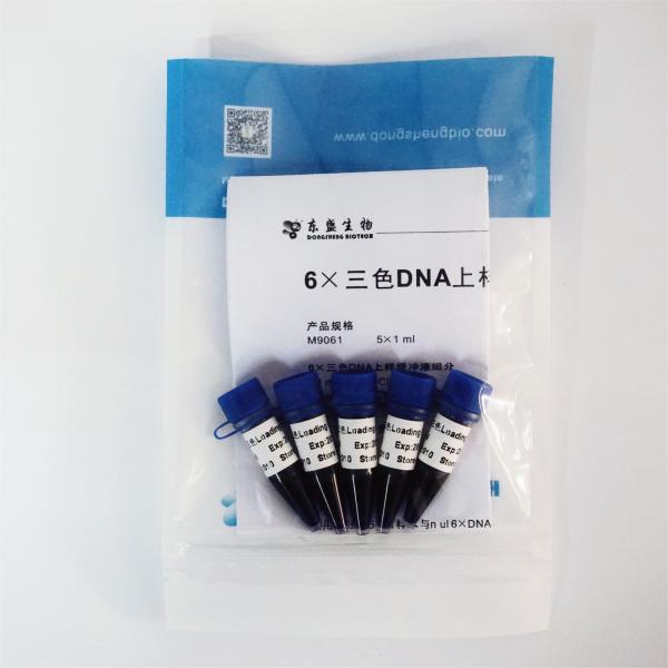 Orange 6x DNA Loading Dye 1mlx5 DNA Electrophoresis Loading Buffer