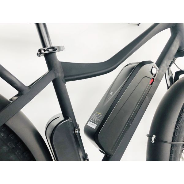 26 inch PAS 750W 1000W 48V Lithium Battery Fat Tire Mountain Electric Bike for Adult Men