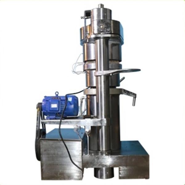 1600kg Maximum Capacity 6YY-300 Hydraulic Oil Press Machine With 90%-95% Efficiency