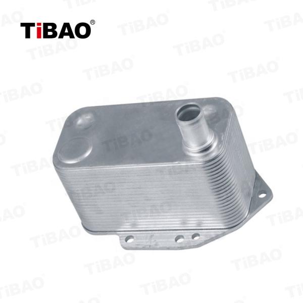 11427788462 Automotive Engine Oil Coolers For X3 X5 X6 E46 E53