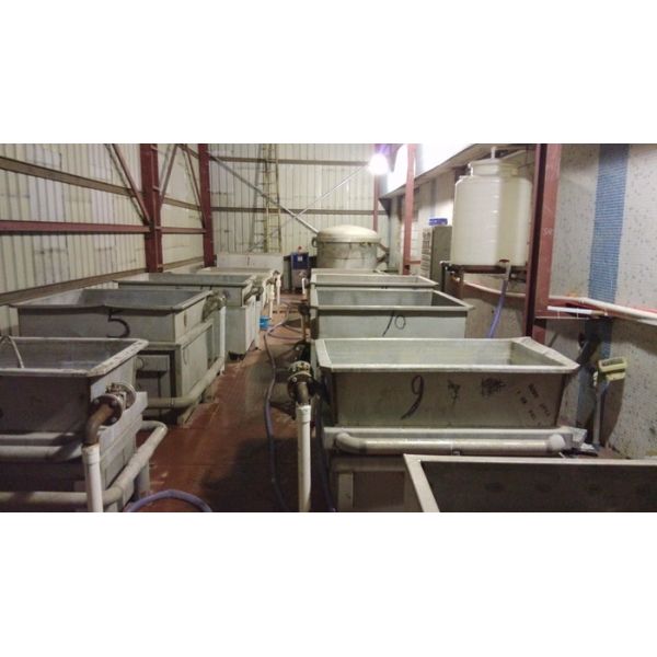 Покрашенный Basswood лощит естественную деревянную аттестацию FSC двери облицовки