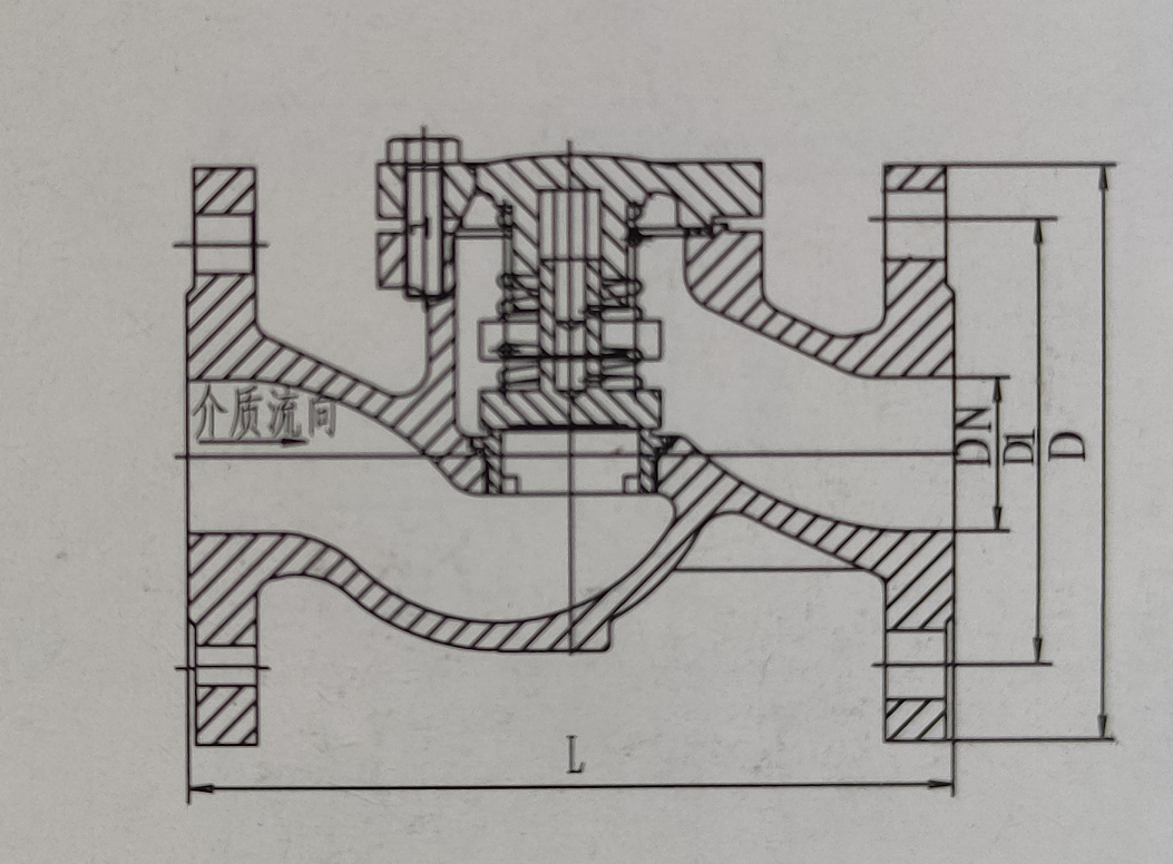 Cast Iron Leakproof Lift Check Valve For Oil Water Gas Anti Oxidation