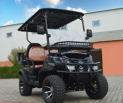 2850*1250*1850 Grade Ability 20-25° CE Luxury Bus DOT Vintage Car Eec 2 Seater Go Kart