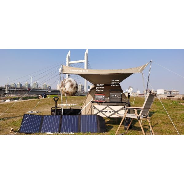 Collapsible Outdoor Garden Park Utility Wagon for Kids and Beach Load Capacity 50kg