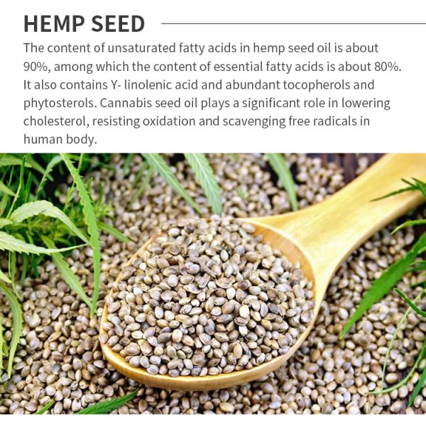 750ML Massage Essential OIls Hemp Seed Essential Oils For Skin Detoxifying