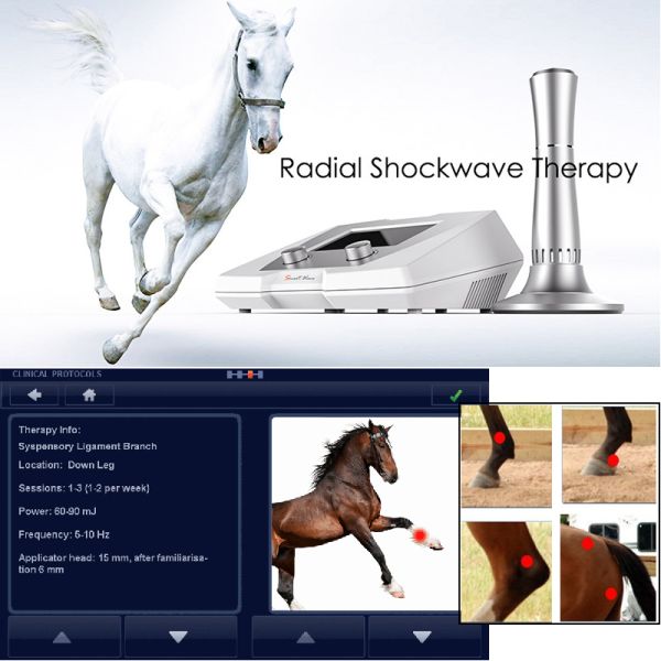Vet high energy shock wave therapy machine veterinary shockwave therapy machine for racehorse