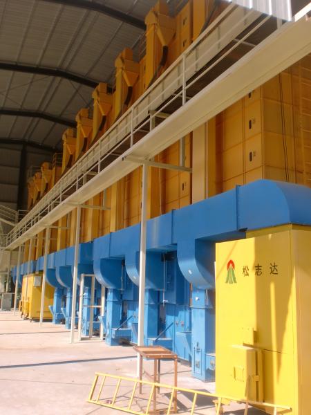 20000K 20 toneladas de Paddy Dryer Machine Rice Mill para o material da biomassa