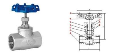 NPT Internal Thread J11W Stainless Steel Globe/ Valve Stop Valve High Pressure WOG