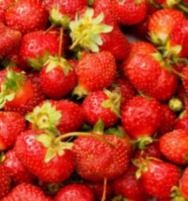 Промышленность пищевых напитков Вакуумные морозильные сушильные машины для фруктов овощей морепродукты