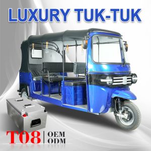 3000w Commercial Passenger Electric Tuk Tuk Touring Rickshaw 50km/H