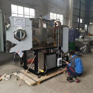 Любимец замораживания вакуума кошачьей еды собаки экрана касания PLC более сухой обрабатывает Lyophilizer