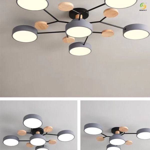 Used For Home/Hotel/Showroom LED Fashionable Atmosphere Ceiling  Light
