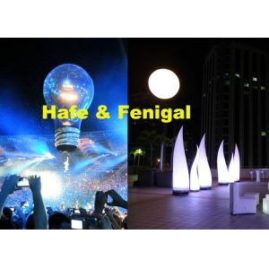 Раздувной освещая воздушный шар летая украшения и светлая звезда бивня